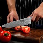 HOSHANHO Damascus Chef Knife 8 Inch, Professional 67 Layers 10Cr15CoMoV Super Steel Kitchen Knife, Ultra Sharp Japanese Knife with Durable Ergonomic Olive Wood Handle