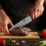 HOSHANHO Damascus Chef Knife 8 Inch, Professional 67 Layers 10Cr15CoMoV Super Steel Kitchen Knife, Ultra Sharp Japanese Knife with Durable Ergonomic Olive Wood Handle