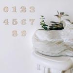 100PCS 0.6inch Natural Wooden Numbers Mixed Wooden 0-9 Numbers Mini Unfinished Wooden Numbers for Homemade Arts DIY Project