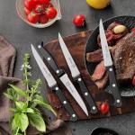 OLULU Steak Knives Set of 4, Stainless Steel Serrated Steak Knife Set, Dishwasher Safe (Unique Food Themed Design)