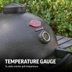 Char-Griller AKORN Kamado Charcoal Grill & Smoker
