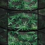 iPower Herb Drying Rack 6-Layer 2-Feet Black Mesh Hanging Net Dryer Collapsible with Opendoor, Pothook and Storage Pouch, for Hydroponics Flowers, Buds