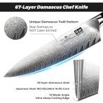 SHAN ZU Damascus Chef Knife 8 inch, 67-Layer High Carbon Steel Kitchen Knife Ultra Sharp Japanese Chef Knives, Professional Kitchen Utility Knives with G10 Ergonomic Handle/Gift Box