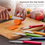 Ruffulon Stainless Steel Paring Knife With Serrated Blade, 6 Pieces Set Vegetable and Fruit Knife, Ultra Sharp Small Kitchen Knife, Colorful Paring Knifves with PP Plastic Ergonomic Handle.