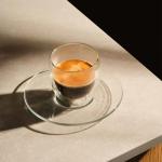 Bodum Double Wall Glasses pack of 2 PAVINA - 250ml Coffee Cups - Dishwasher Safe Thermal Cup - Mouth-blown Borosilicate Glass