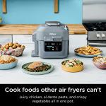 Ninja SF301 Speedi Rapid Cooker & Air Fryer, 6-Quart Capacity, 12-in-1 Functions to Steam, Bake, Roast, Sear, Sauté, Slow Cook, Sous Vide & More, 15-Minute Speedi Meals All In One Pot, Sea Salt Gray