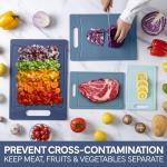 COOK WITH COLOR Non-Slip Cutting Board Set – Kitchen Essentials with Easy Grip Handle for Meat, Veggies, and Fruits, 4 Cutting Boards, Blue-New