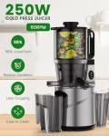 Cold Press Juicer with 5.5" Wide Chute