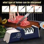 VIDOME Electric Knife Sharpener with Diamond Abrasives