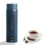 Portable Mini Electric Kettle with Temperature Control