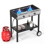 ROVSUN 2 Burner Propane Gas Stove with Auto-Ignition