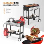 ROVSUN 2 Burner Propane Gas Stove with Auto-Ignition