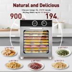 8-Tray Food Dehydrator with Adjustable Temperature