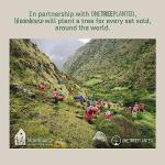 Bloomhouse 3.5-Inch Italian Olive Wood Paring Knife