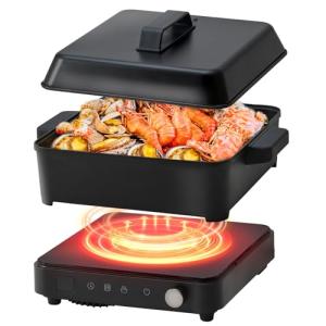 Olayks 1500W Portable Induction Cooktop with Accessories