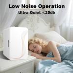 Portable Mini Fridge for Skincare and Makeup