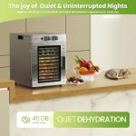 12-Tray Food Dehydrator with Timer and Temperature Control