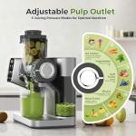 WETIE Cold Press Juicer with Adjustable Pressure