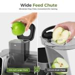 WETIE Cold Press Juicer with Adjustable Pressure
