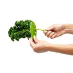 Chef'n Kale and Herb Stripper Tool