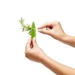 Chef'n Kale and Herb Stripper Tool