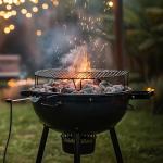 Bear Mountain Premium Hardwood Lump Charcoal, 8.8 lbs