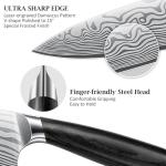 HOSHANHO 16-Piece Ultra Sharp Knife Set