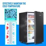 Demuller 3.2 Cu.Ft Compact Upright Freezer, Black