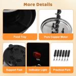 Chocolate Fondue Fountain with 6 Forks and Fruits