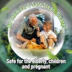 2500W Handheld Steam Cleaner with 9 Accessories