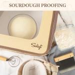 Collapsible Sourdough Proofing Box with Timer