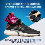 SmellWell Scented Shoe Deodorizer Inserts - 2 Pack