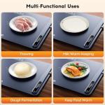 Electric Warming Tray with Temperature Control