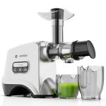 Eurolux Cold Press Slow Masticating Juicer