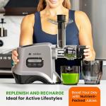 Eurolux Cold Press Slow Masticating Juicer