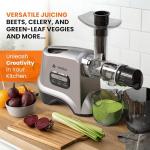 Eurolux Cold Press Slow Masticating Juicer