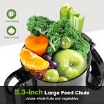 Fretta Cold Press Juicer,Juicer Machines Vegetable and Fruit,Masticating Juicer with 5.3'' Large Feed Chute fit Whole Fruits,BPA-Free, Reverse Function,Durable Stainless Steel Body,250W Quiet Motor