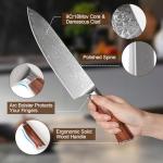 8 Inch Damascus Chef Knife with 9Cr18Mov, Professional Japanese Chef Knife with Ergonomic Handle and Gift Box for Kitchen