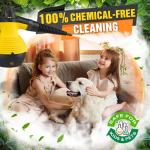 Steam Cleaner, Pressurized Handheld Steam Cleaner for Home, Multi-Surface Steamer for Cleaning with Safety Lock, Portable Cleaning Steamer for Kitchen, Bathroom, Car, Grout, Upholstery and Clothes