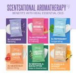 Cleverfy Shower Steamers Aromatherapy Gift Set