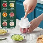 Mini Electric Garlic Chopper with Egg Beater
