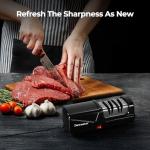 Dawnstar Electric Knife Sharpener for Kitchen Knives