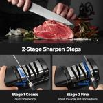 Dawnstar Electric Knife Sharpener for Kitchen Knives