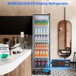 BODEGA Commercial Beverage Refrigerator with Glass Door