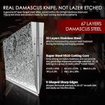 VEROXIS 8-Inch Damascus Chef Knife with Pakkawood Handle