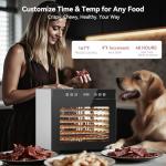 Stainless Steel Food Dehydrator with Adjustable Timer