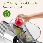 Anybear Slow Juicer with Large Feed Chute