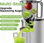 EanOruus 400W Cold Press Juicer with Wide Feed Chute