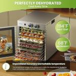 Stainless Steel Food Dehydrator with 12 Trays
