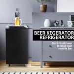 Single Tap Stainless Steel Beer Kegerator Dispenser